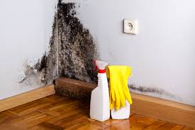 Reliable Old Brookville, NY Mold Removal Solutions